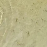 Feriehus Nad Jeziorem, Lodka, Kajak Zalewo (Ostroda)