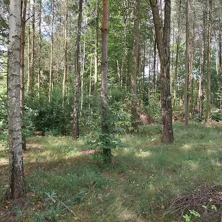 Nad Jeziorem, Lodka, Kajak Σπίτι διακοπών Zalewo (Ostroda)