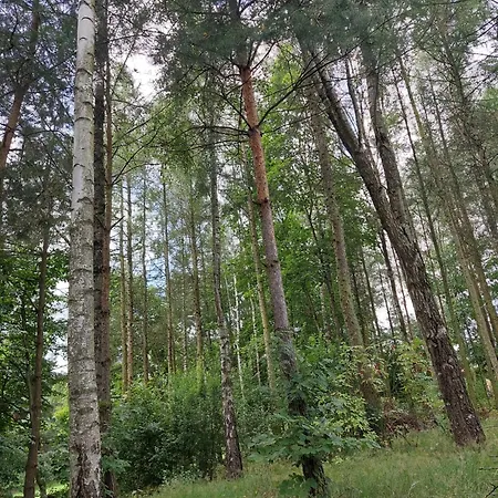 Tatil Evi Nad Jeziorem, Lodka, Kajak