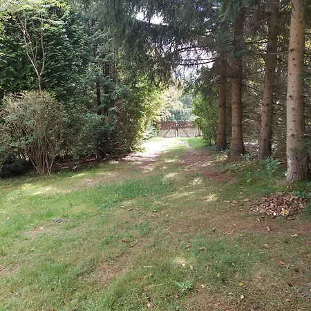 Nad Jeziorem, Lodka, Kajak Zalewo (Ostroda)