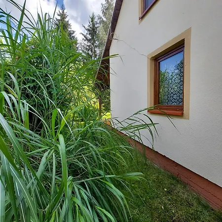 Nad Jeziorem, Lodka, Kajak * Zalewo (Ostroda)