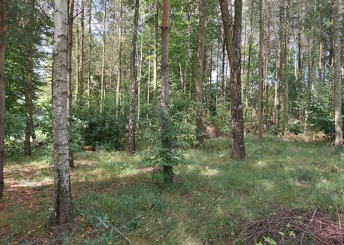 Nad Jeziorem, Lodka, Kajak Semesterbostad Zalewo (Ostroda)